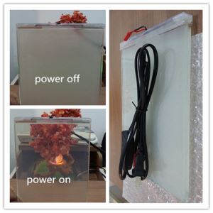 切り替え可能なスマートガラス