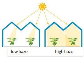 High Quality Clear and Diffuse Horticulture Glass for Commercial Greenhouse Construction